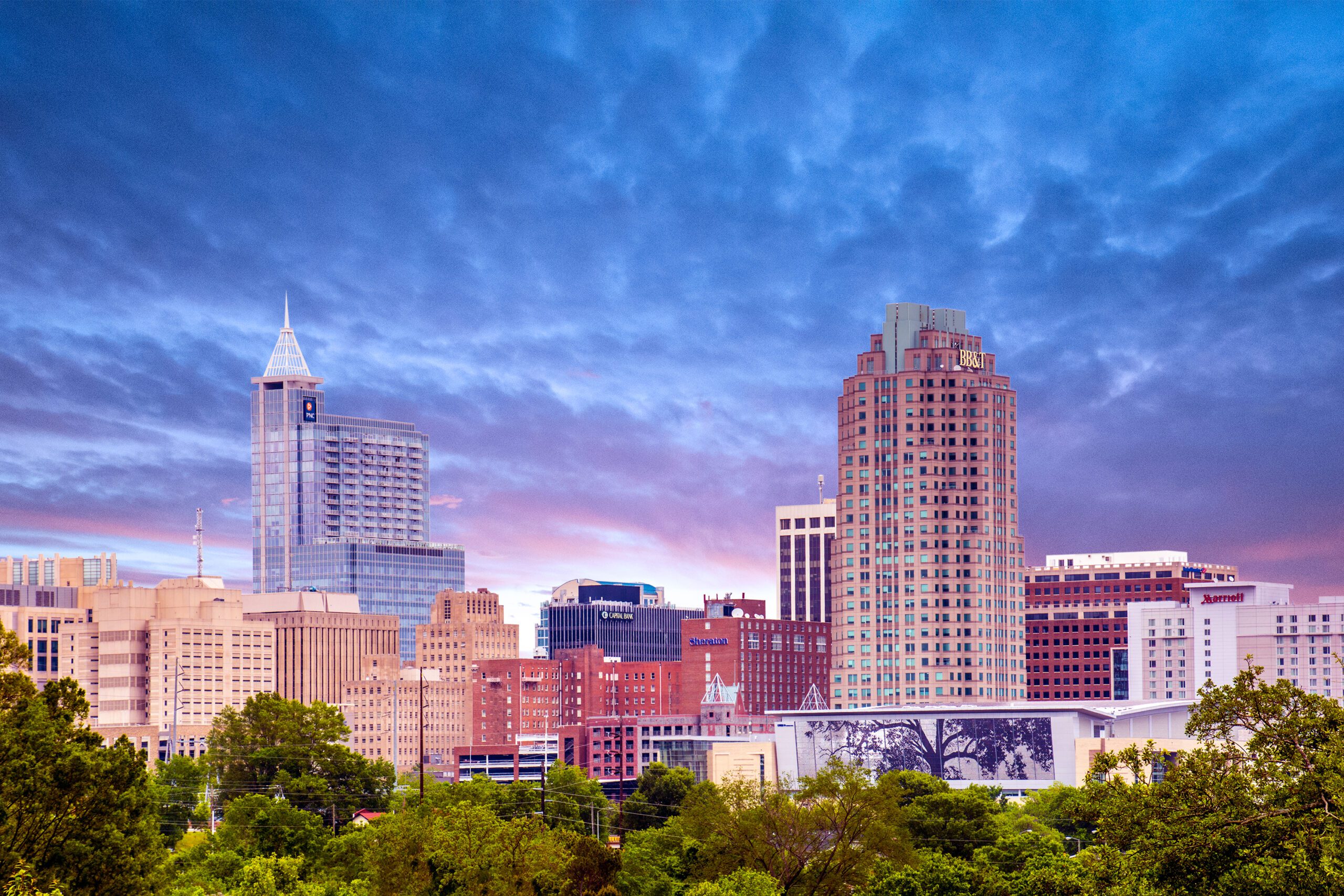 Downtown Raleigh from Dix Park | 919RALEIGH