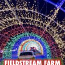 18020097253815163_919raleigh